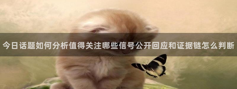 吃瓜后续进展