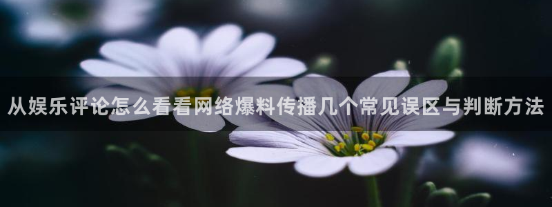 独家吃瓜后续进展