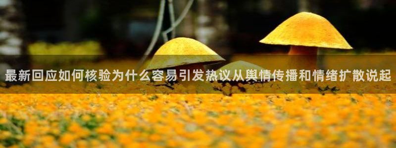 热门吃瓜事件始末