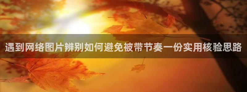 理性吃瓜