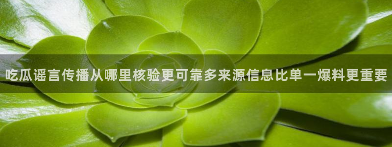 吃瓜爆料公开回应