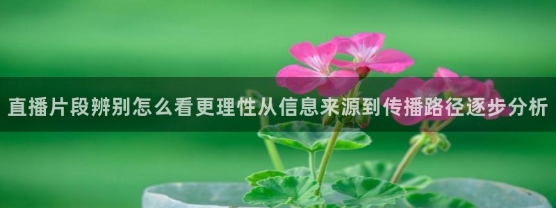 吃瓜真相最新消息