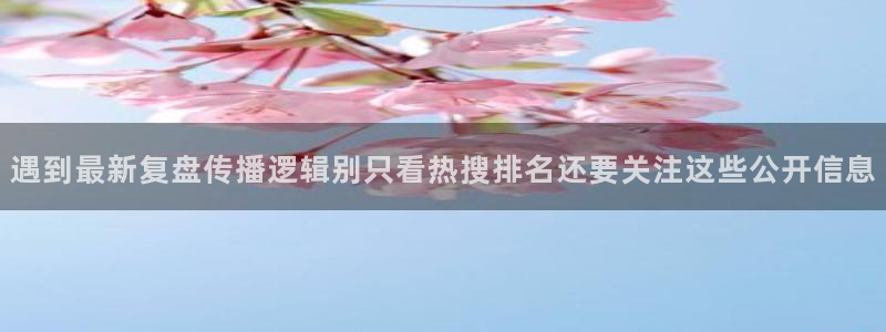网红吃瓜后续进展