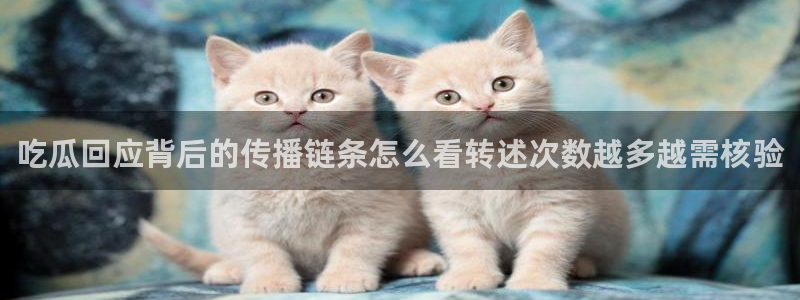 娱乐吃瓜信息核验