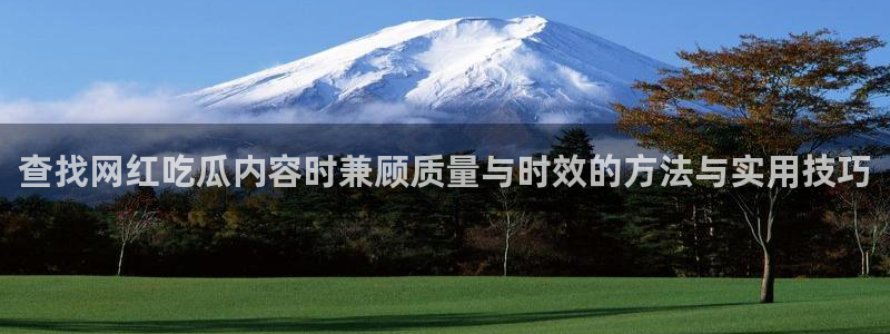 吃瓜爆料信息核验