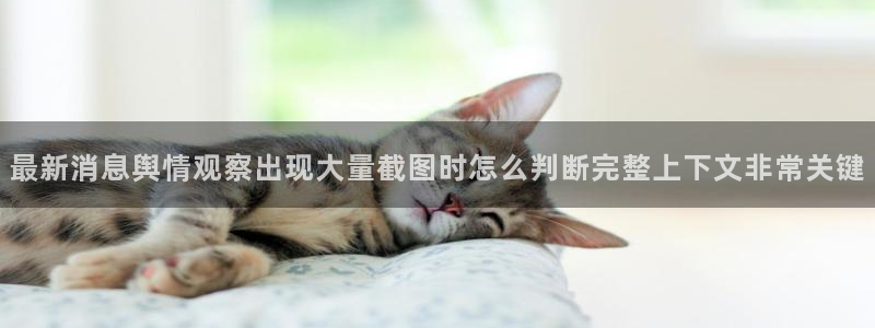 热门吃瓜公开回应